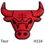 Taur - H114